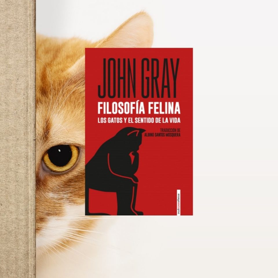 Filosofía Felina. Los gatos y el sentido de la vida, de John Gray